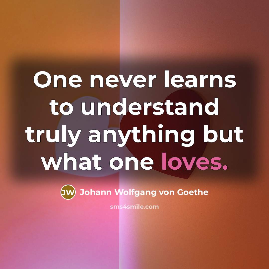 “One never learns to understand truly anything but what one loves.” quote by Johann Wolfgang von Goethe