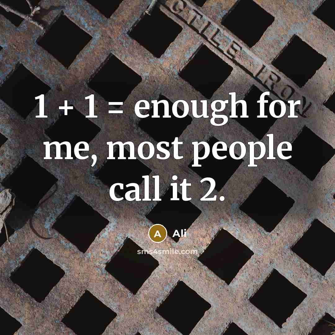 “1 + 1 = enough for me, most people call it 2.” quote by Ali