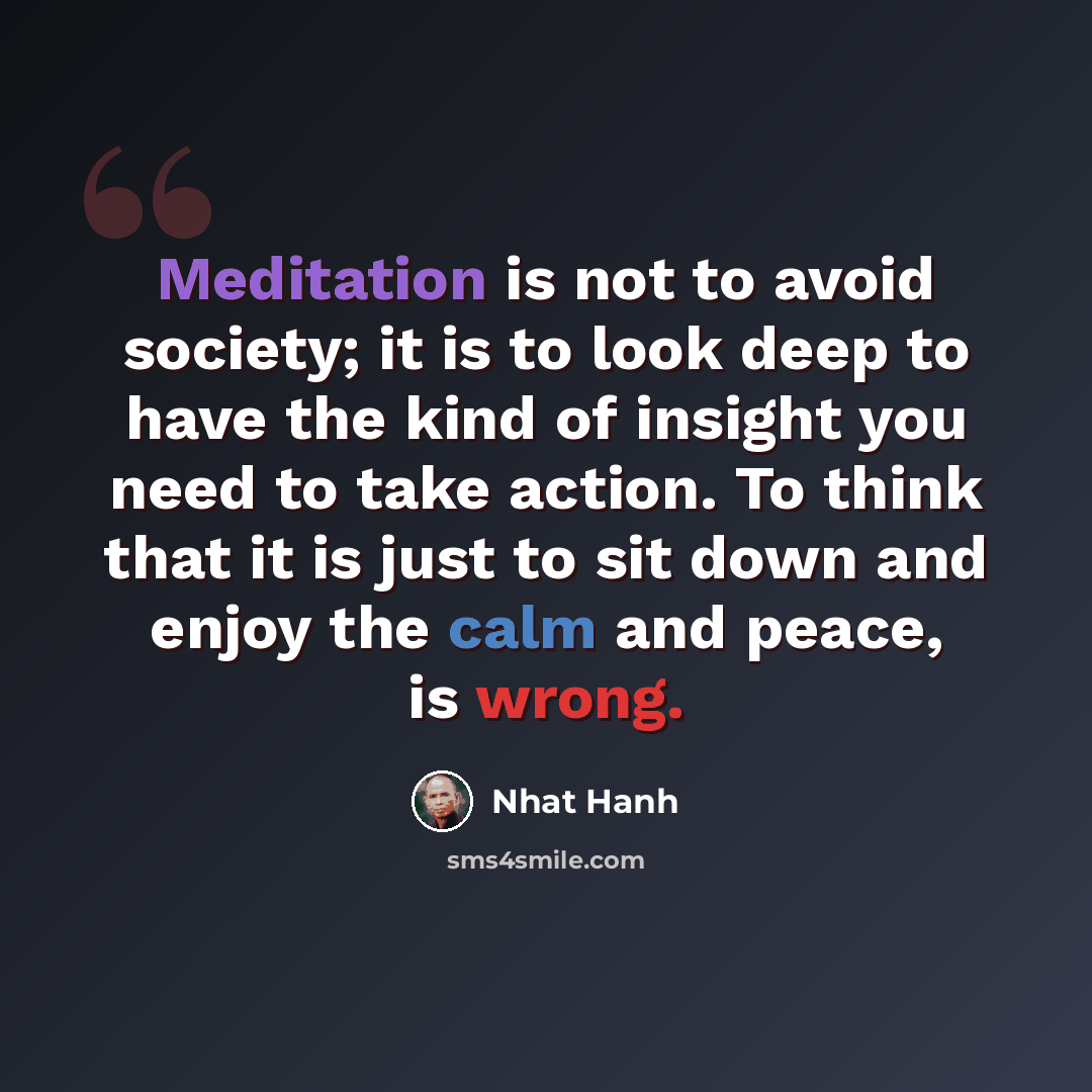 “Meditation is not to avoid society; it is to look deep to have the kind of insight you need to take action. To think that it is just to sit down and enjoy the calm and peace, is wrong.” quote by Nhat Hanh