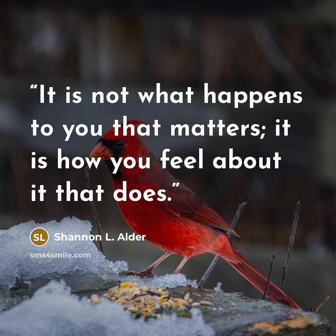 “It is not what happens to you that matters; it is how you feel about it that does.” quote by Shannon L. Alder