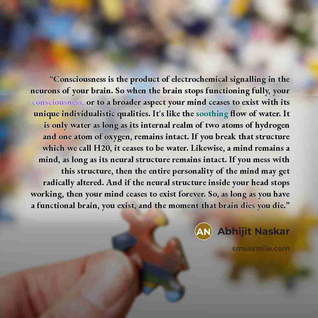 “Consciousness is the product of electrochemical signalling in the neurons of your brain. So when the brain stops functioning fully, your consciousness, or to a broader aspect your mind ceases to exist with its unique individualistic qualities. It's like the soothing flow of water. It is only water…” quote by Abhijit Naskar