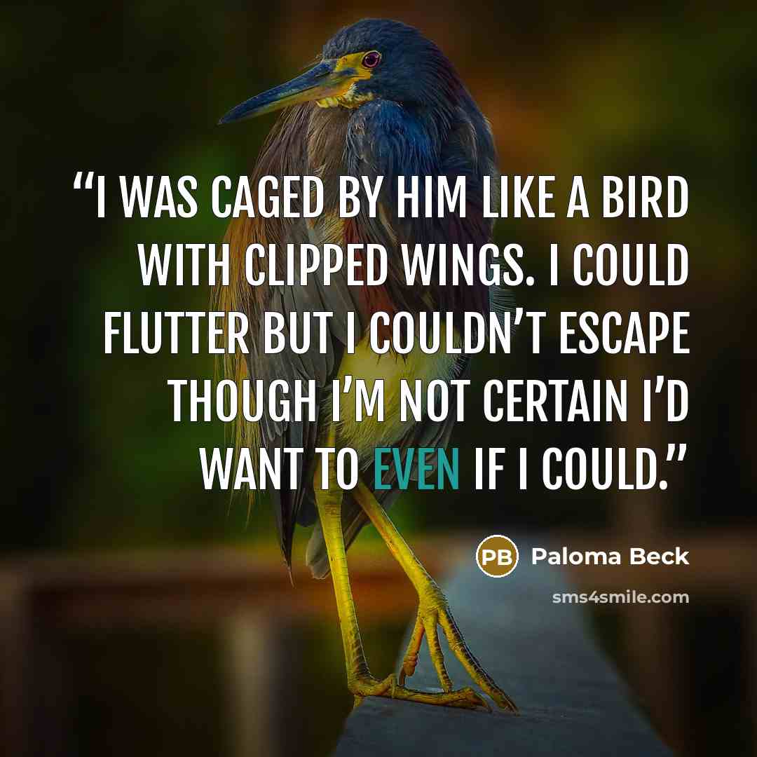 “I was caged by him like a bird with clipped wings. I could flutter but I couldn’t escape though I’m not certain I’d want to even if I could.” quote by Paloma Beck