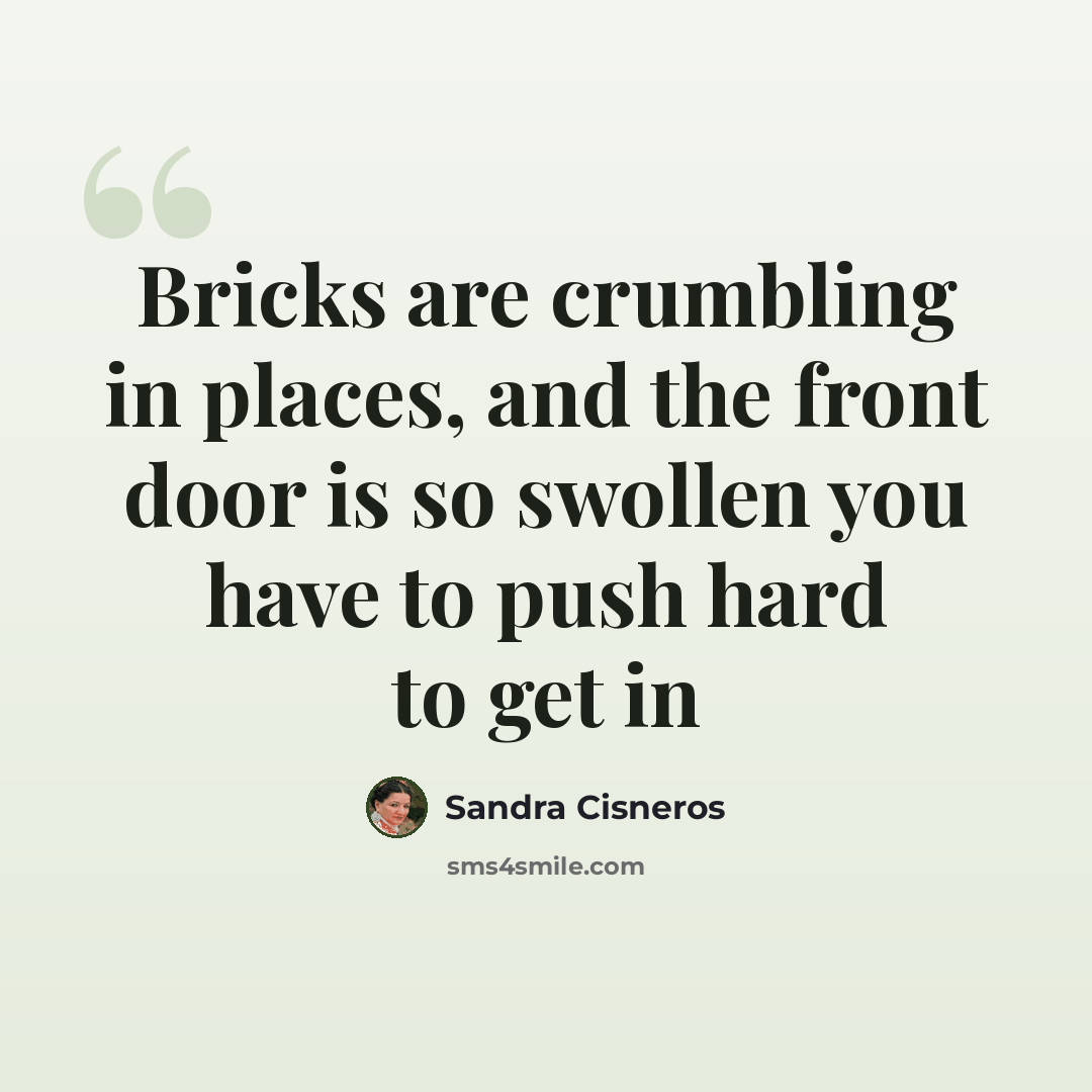 “Bricks are crumbling in places, and the front door is so swollen you have to push hard to get in” quote by Sandra Cisneros