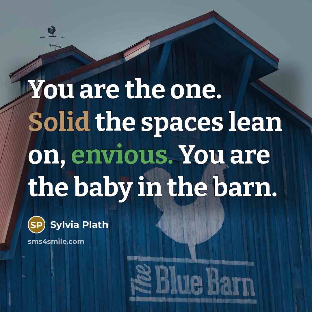“You are the one. Solid the spaces lean on, envious. You are the baby in the barn.” quote by Sylvia Plath
