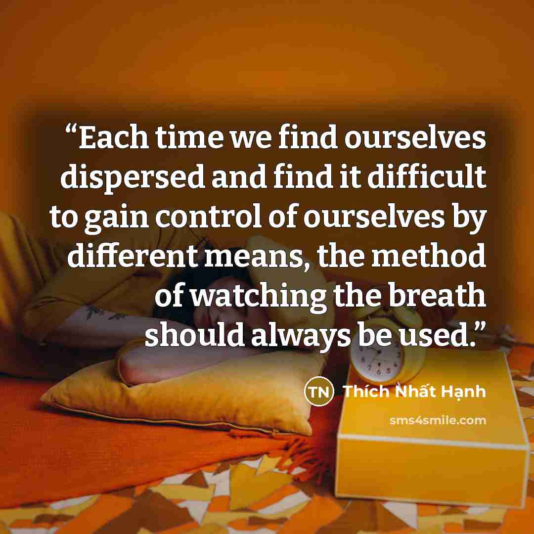 “Each time we find ourselves dispersed and find it difficult to gain control of ourselves by different means, the method of watching the breath should always be used.” quote by Thích Nhất Hạnh
