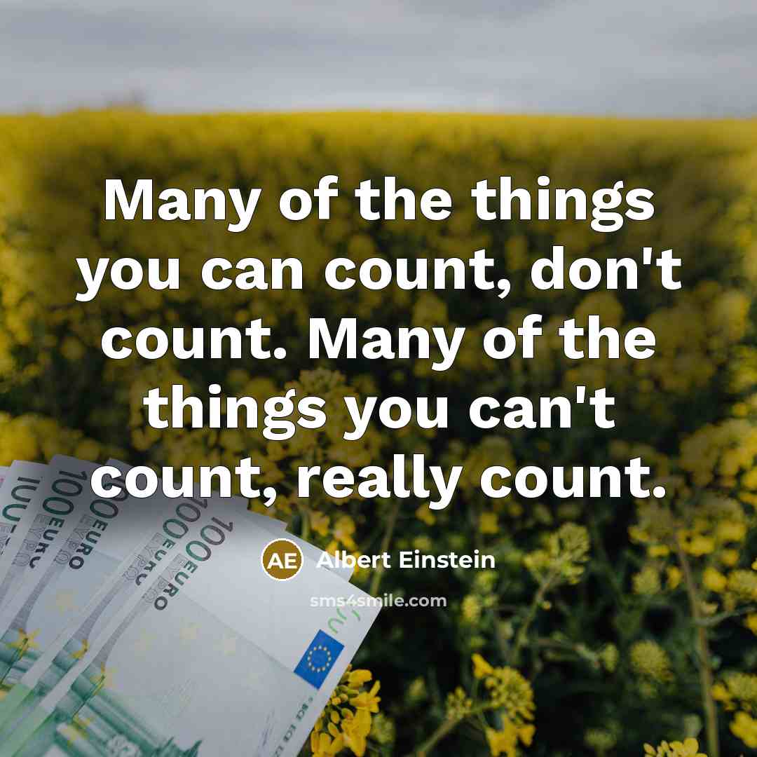 “Many of the things you can count, don't count. Many of the things you can't count, really count.” quote by Albert Einstein