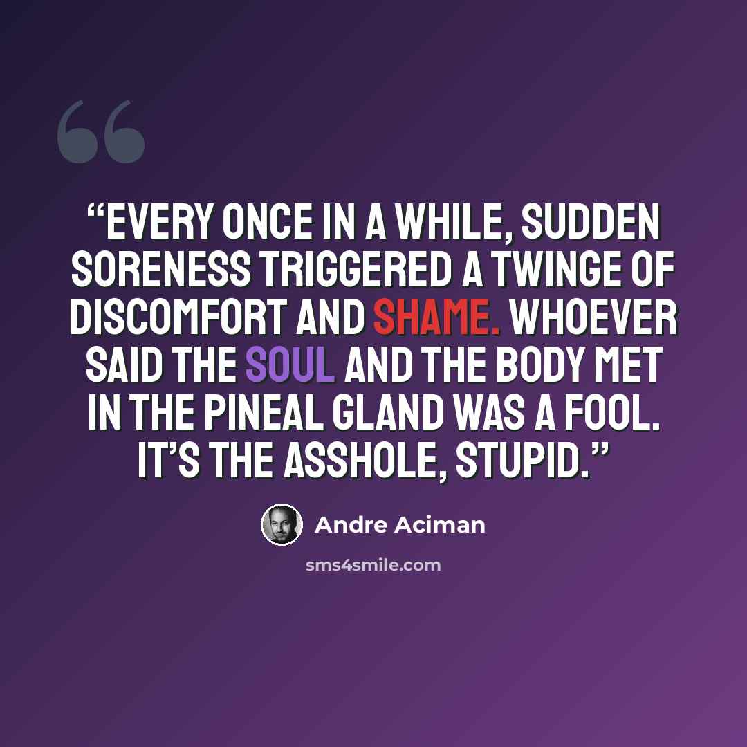 “Every once in a while, sudden soreness triggered a twinge of discomfort and shame. Whoever said the soul and the body met in the pineal gland was a fool. It’s the asshole, stupid.” quote by André Aciman