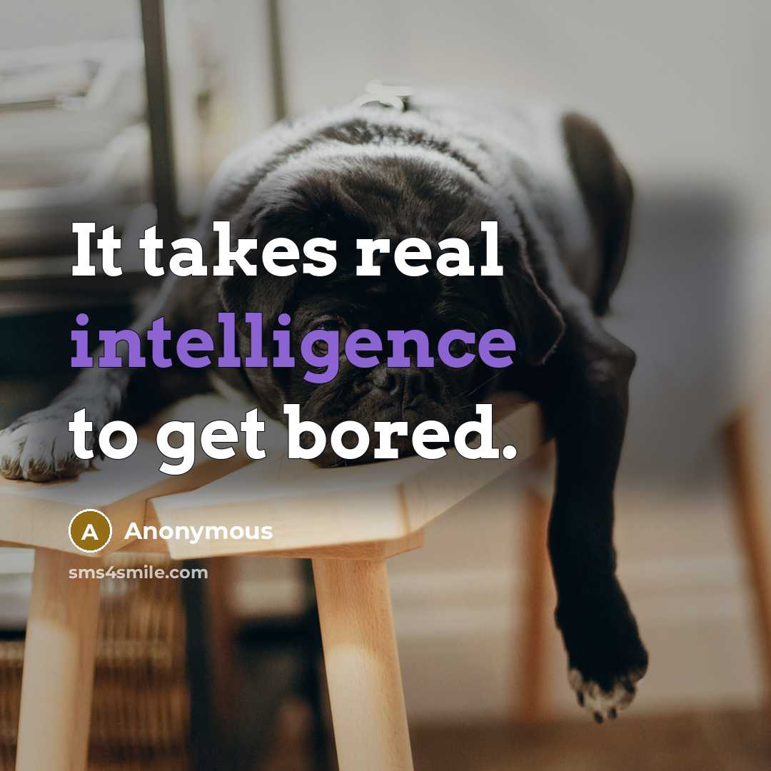 “It takes real intelligence to get bored.” quote by Anonymous