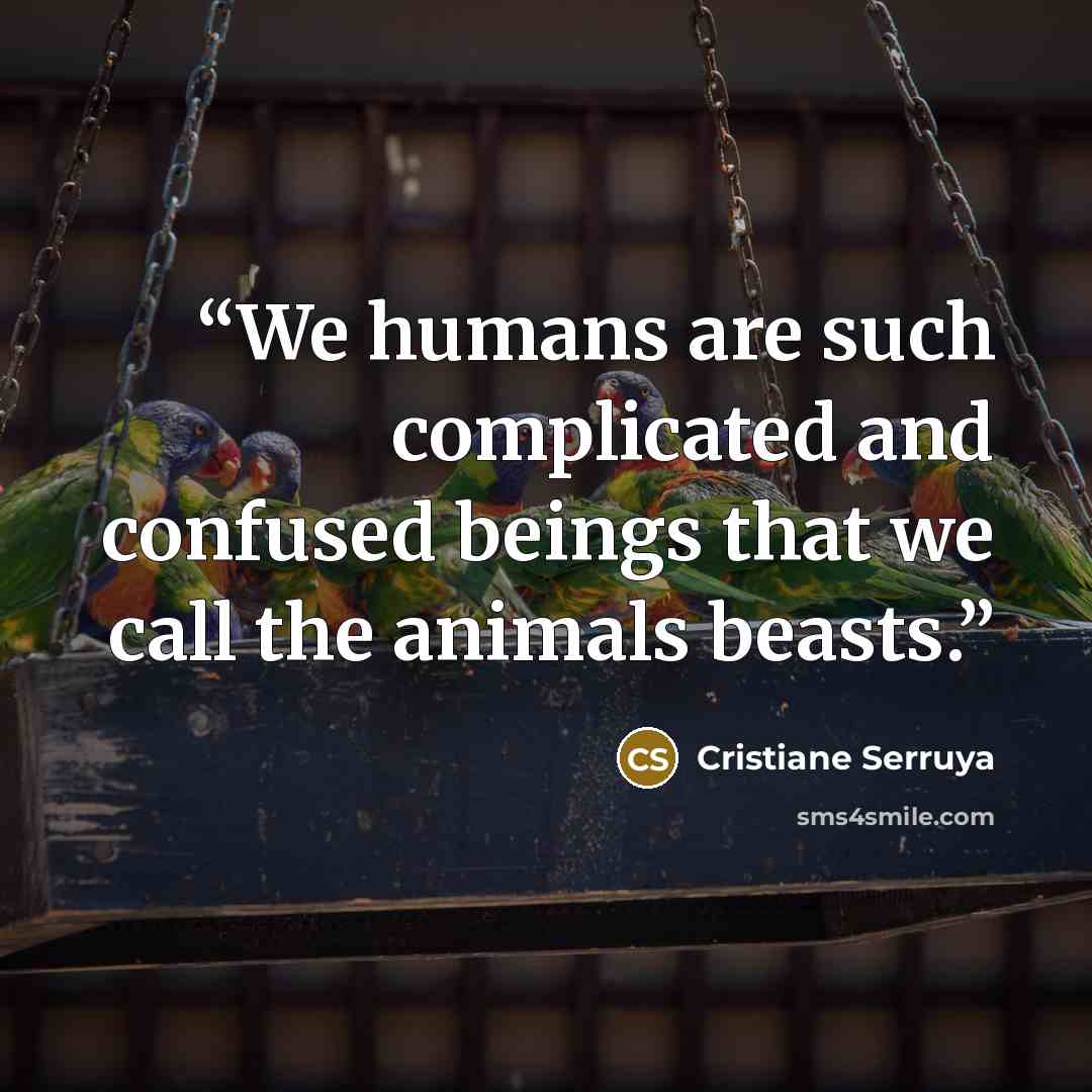 “We humans are such complicated and confused beings that we call the animals beasts.” quote by Cristiane Serruya