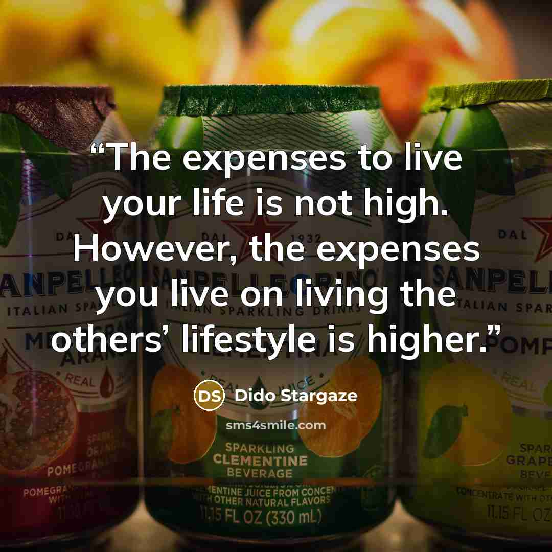 “The expenses to live your life is not high. However, the expenses you live on living the others’ lifestyle is higher.” quote by Dido Stargaze