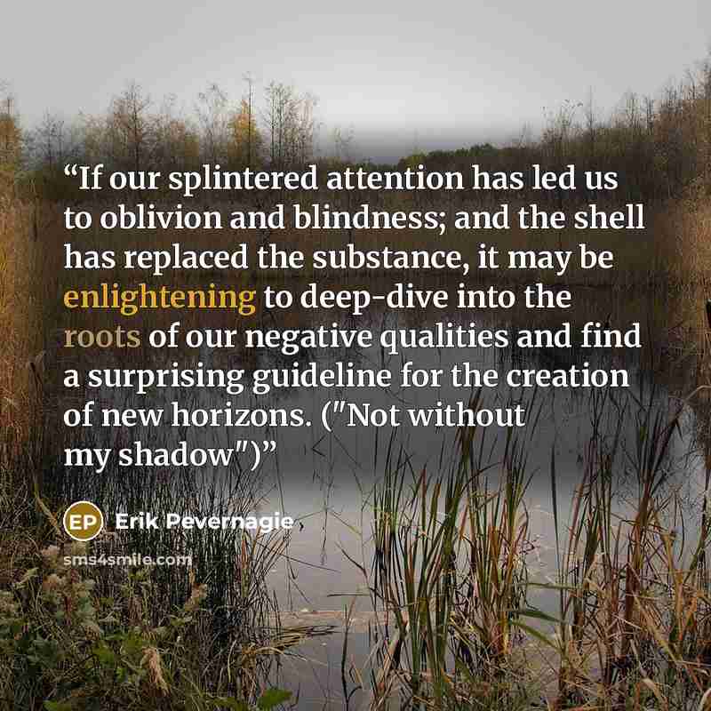 “If our splintered attention has led us to oblivion and blindness; and the shell has replaced the substance, it may be enlightening to deep-dive into the roots of our negative qualities and find a surprising guideline for the creation of new horizons. ("Not without my shadow")” quote by Erik Pevernagie