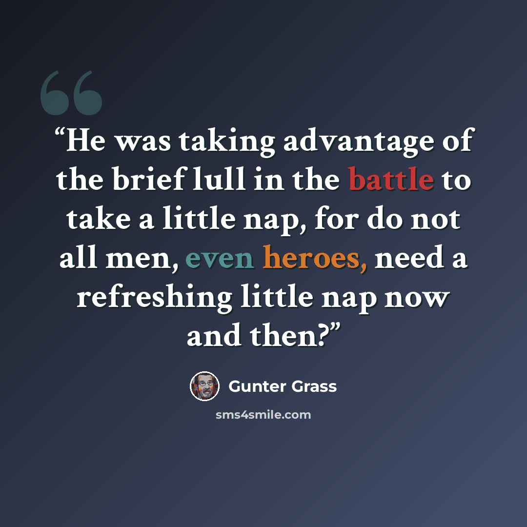 “He was taking advantage of the brief lull in the battle to take a little nap, for do not all men, even heroes, need a refreshing little nap now and then?” quote by Günter Grass