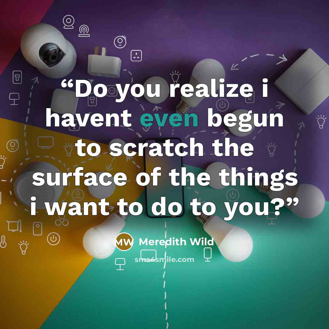 “Do you realize i havent even begun to scratch the surface of the things i want to do to you?” quote by Meredith Wild