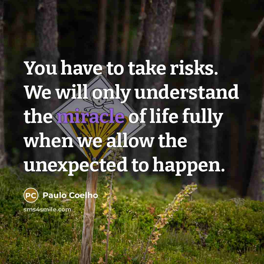 “You have to take risks. We will only understand the miracle of life fully when we allow the unexpected to happen.” quote by Paulo Coelho