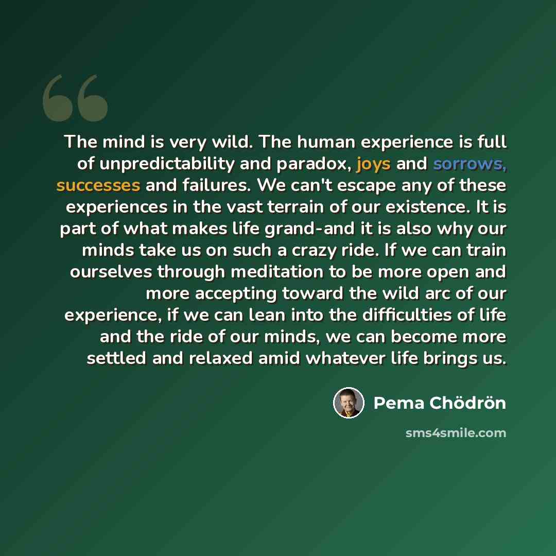 “The mind is very wild. The human experience is full of unpredictability and paradox, joys and sorrows, successes and failures. We can't escape any of these experiences in the vast terrain of our existence. It is part of what makes life grand-and it is also why our minds take us on such a crazy…” quote by Pema Chodron