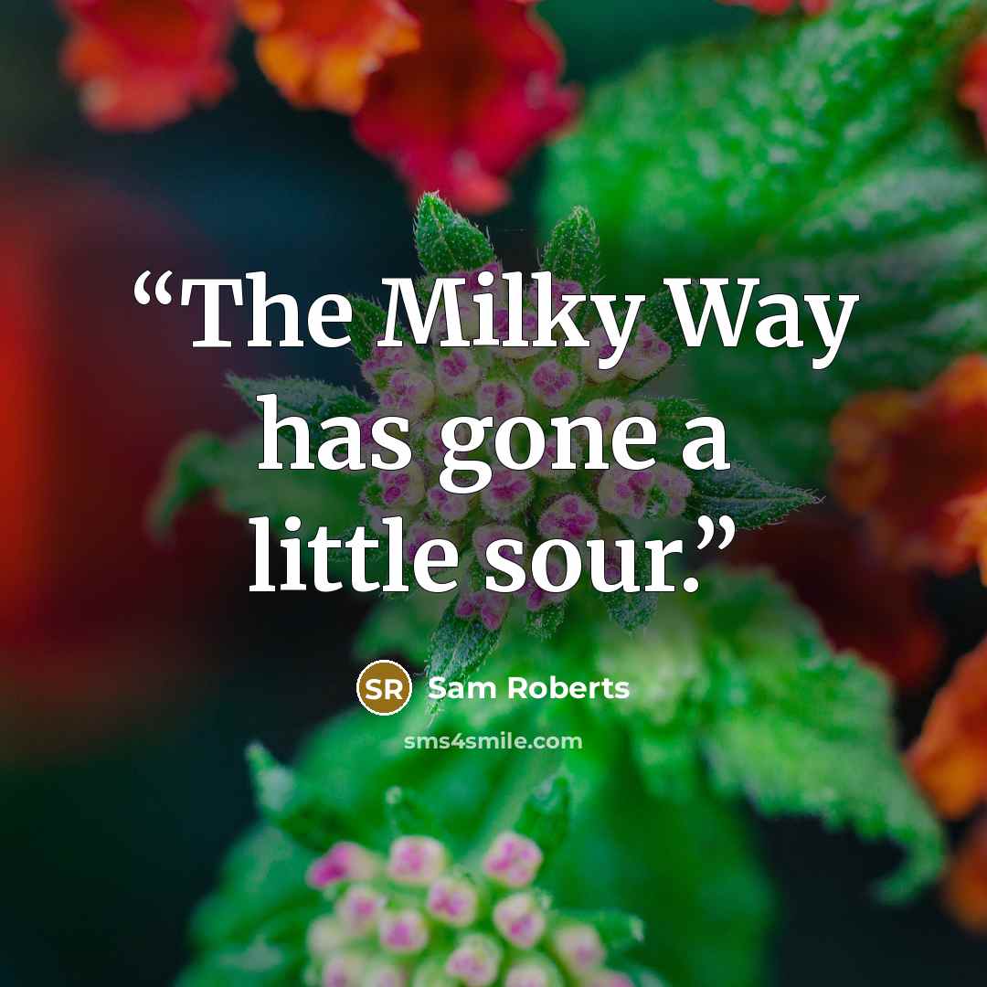 “The Milky Way has gone a little sour.” quote by Sam Roberts