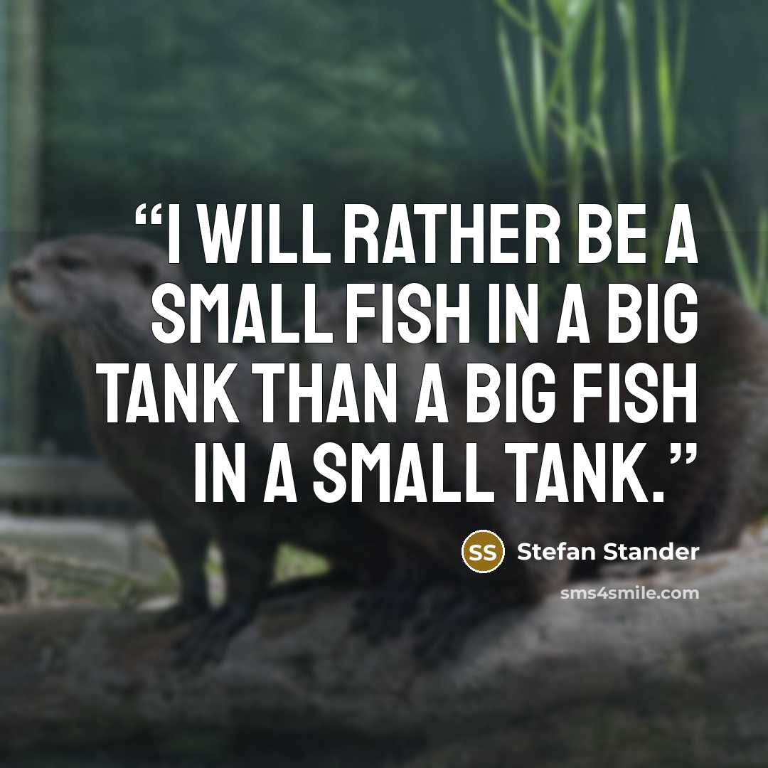“I will rather be a small fish in a big tank than a big fish in a small tank.” quote by Stefan Stander