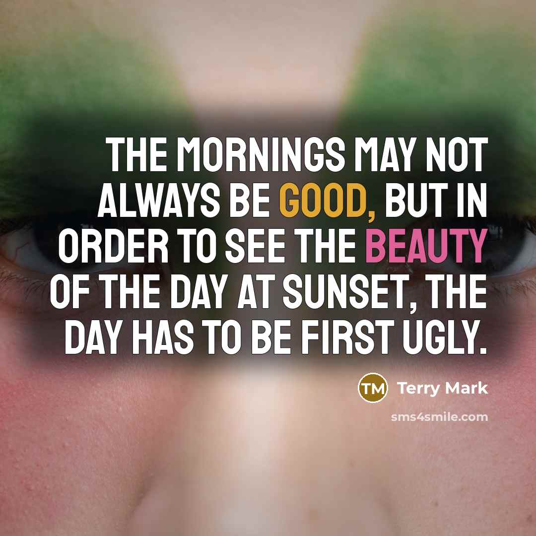 “The mornings may not always be good, but in order to see the beauty of the day at sunset, the day has to be first ugly.” quote by Terry Mark