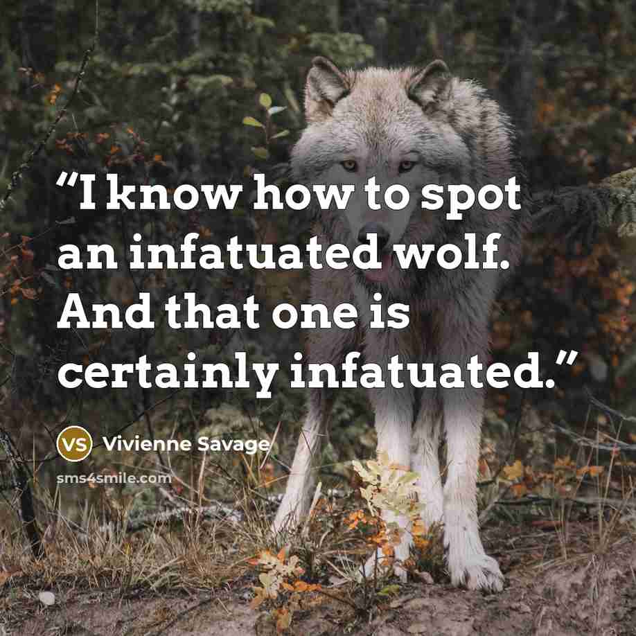 “I know how to spot an infatuated wolf. And that one is certainly infatuated.” quote by Vivienne Savage