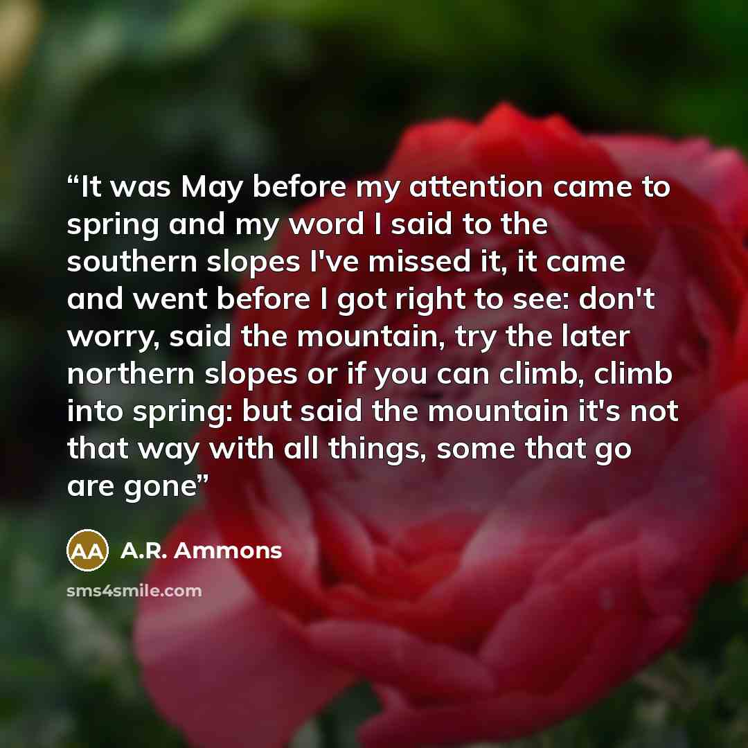 “It was May before my attention came to spring and my word I said to the southern slopes I've missed it, it came and went before I got right to see: don't worry, said the mountain, try the later northern slopes or if you can climb, climb into spring: but said the mountain it's not that way with all…” quote by A.R. Ammons