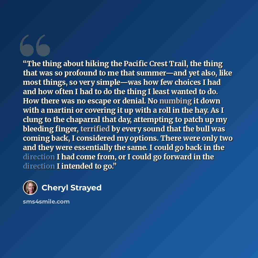 “The thing about hiking the Pacific Crest Trail, the thing that was so profound to me that summer—and yet also, like most things, so very simple—was how few choices I had and how often I had to do the thing I least wanted to do. How there was no escape or denial. No numbing it down with a martini…” quote by Cheryl Strayed