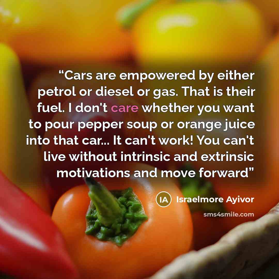 “Cars are empowered by either petrol or diesel or gas. That is their fuel. I don't care whether you want to pour pepper soup or orange juice into that car... It can't work! You can't live without intrinsic and extrinsic motivations and move forward” quote by Israelmore Ayivor