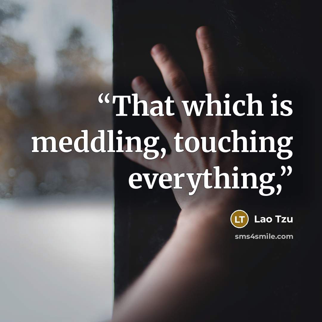 “That which is meddling, touching everything,” quote by Lao Tzu