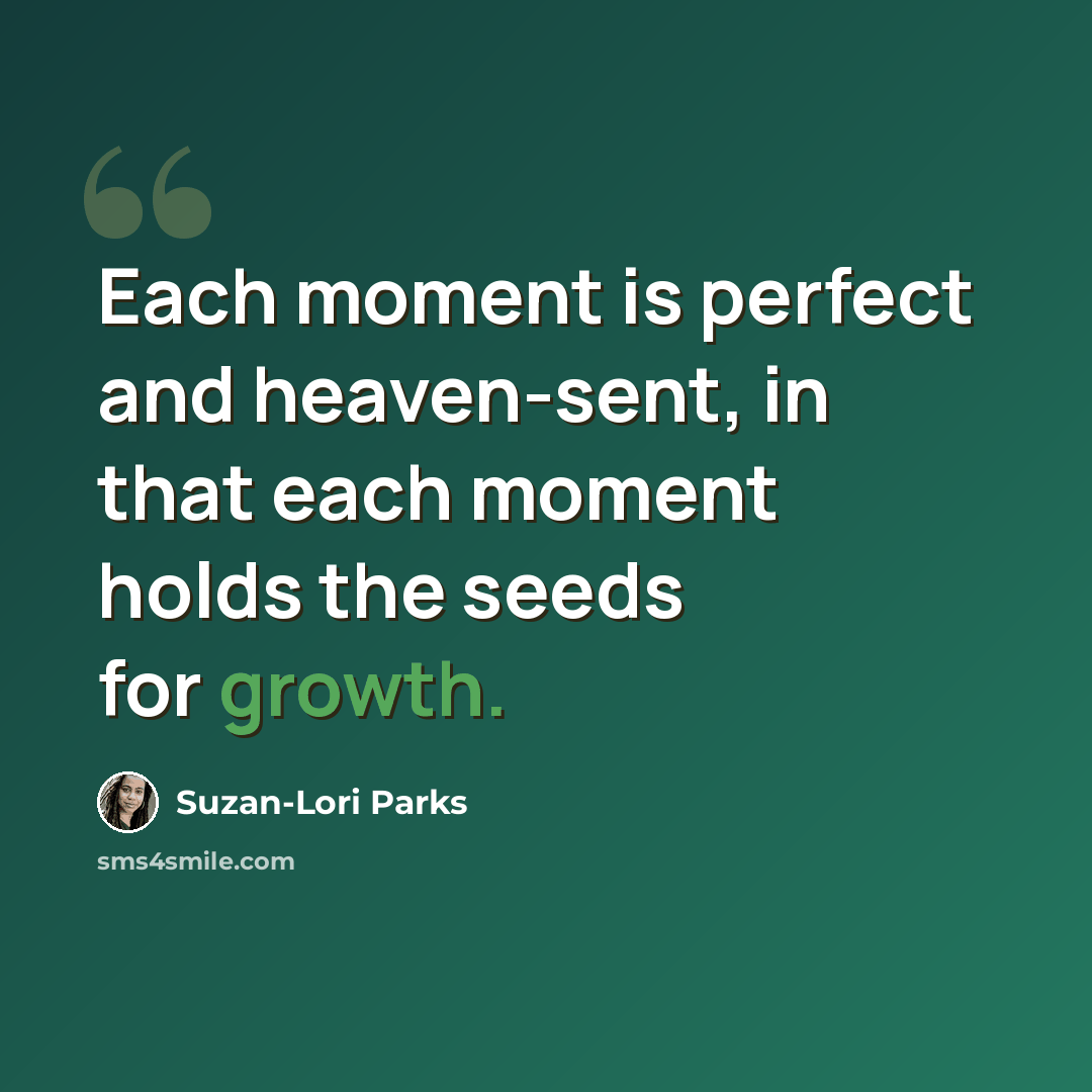 “Each moment is perfect and heaven-sent, in that each moment holds the seeds for growth.” quote by Suzan-Lori Parks