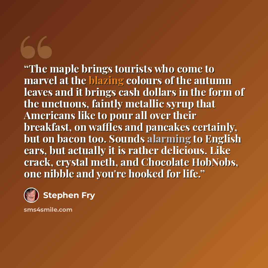 “The maple brings tourists who come to marvel at the blazing colours of the autumn leaves and it brings cash dollars in the form of the unctuous, faintly metallic syrup that Americans like to pour all over their breakfast, on waffles and pancakes certainly, but on bacon too. Sounds alarming to…” quote by Stephen Fry