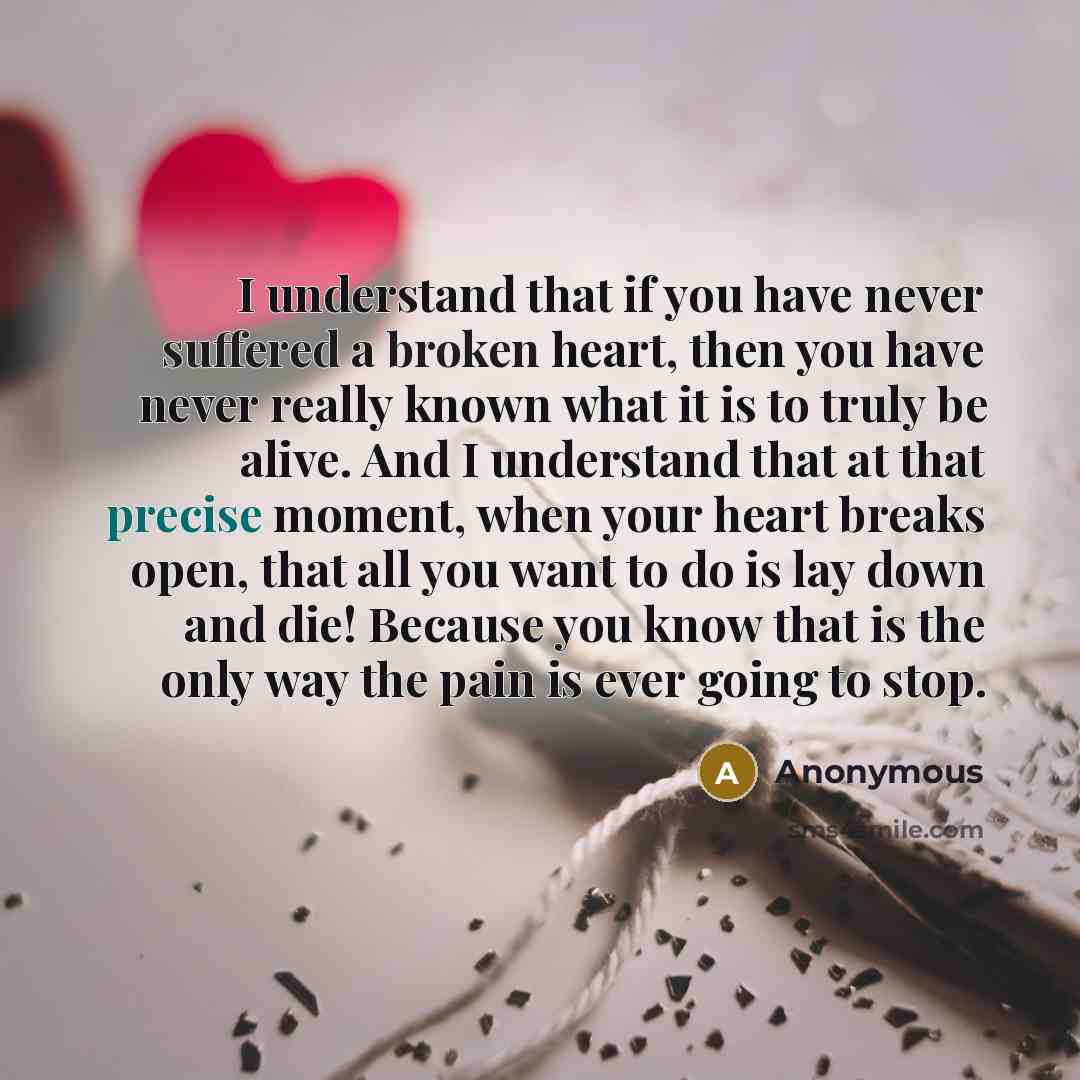 “I understand that if you have never suffered a broken heart, then you have never really known what it is to truly be alive. And I understand that at that precise moment, when your heart breaks open, that all you want to do is lay down and die! Because you know that is the only way the pain is ever…” quote by Anonymous