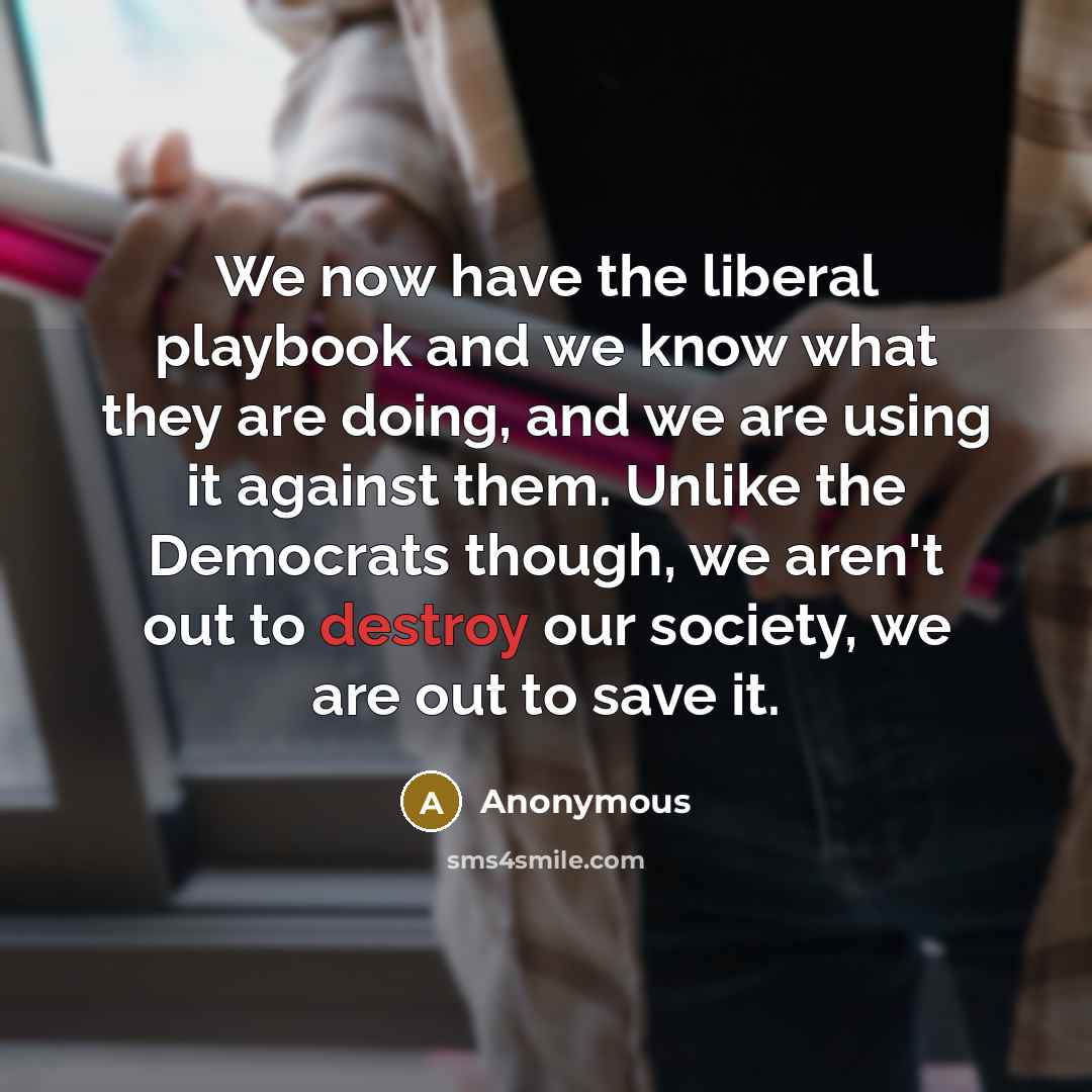 “We now have the liberal playbook and we know what they are doing, and we are using it against them. Unlike the Democrats though, we aren't out to destroy our society, we are out to save it.” quote by Anonymous