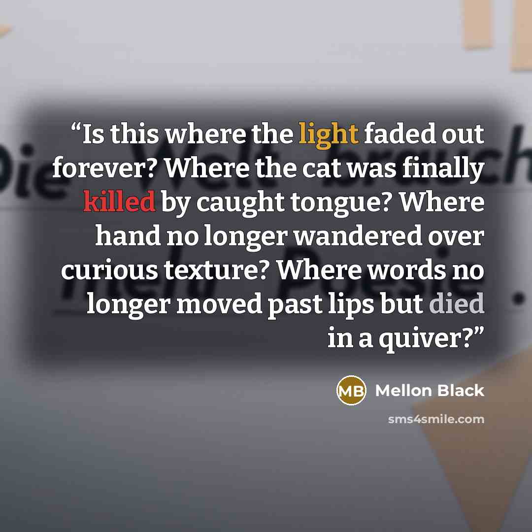“Is this where the light faded out forever? Where the cat was finally killed by caught tongue? Where hand no longer wandered over curious texture? Where words no longer moved past lips but died in a quiver?” quote by Mellon Black
