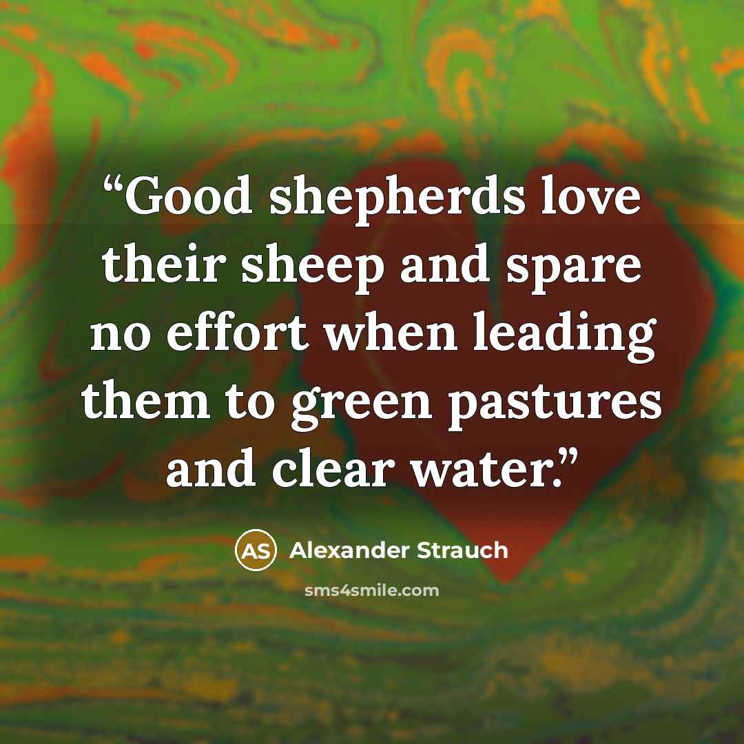 “Good shepherds love their sheep and spare no effort when leading them to green pastures and clear water.” quote by Alexander Strauch