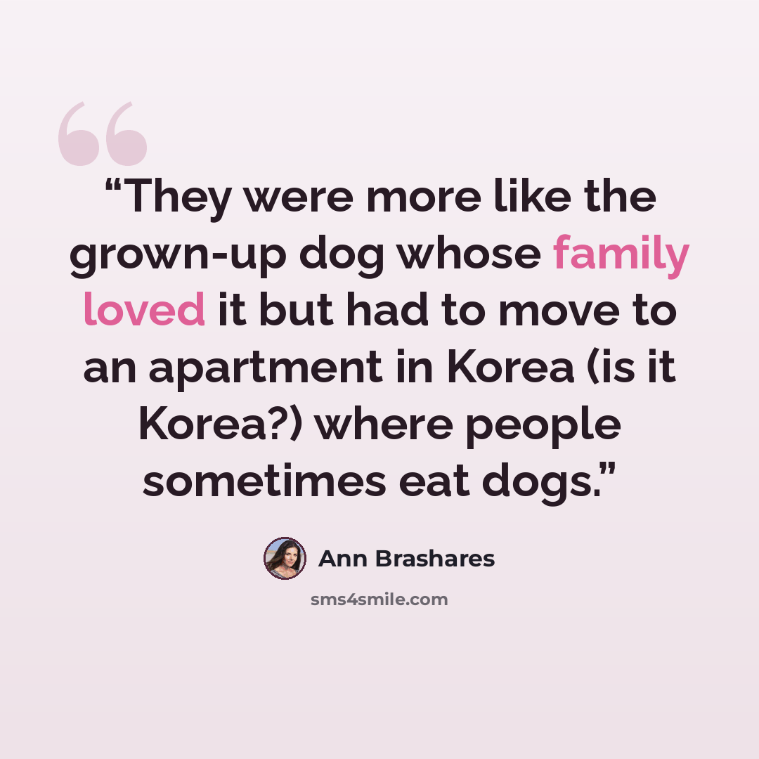 “They were more like the grown-up dog whose family loved it but had to move to an apartment in Korea (is it Korea?) where people sometimes eat dogs.” quote by Ann Brashares