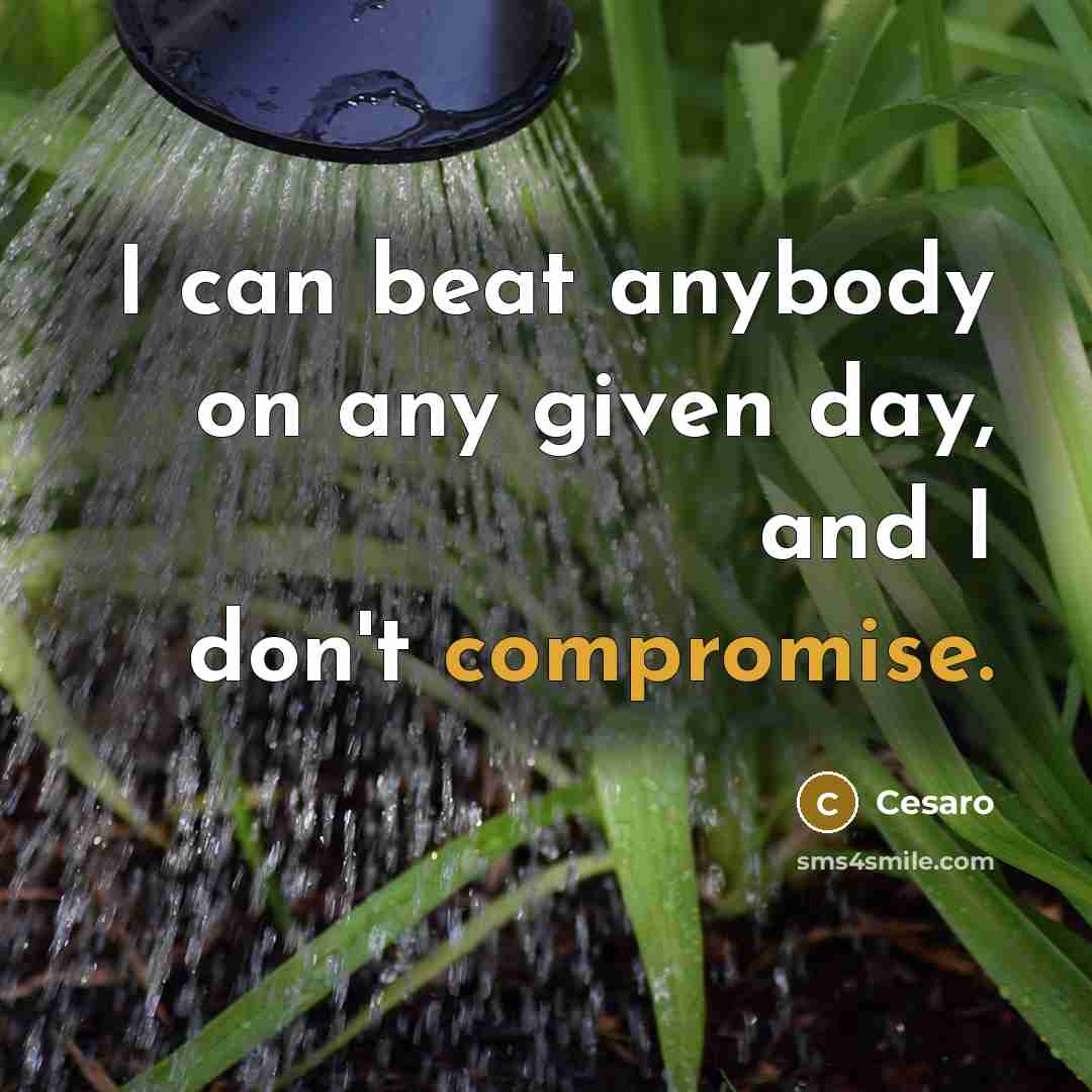 “I can beat anybody on any given day, and I don't compromise.” quote by Cesaro