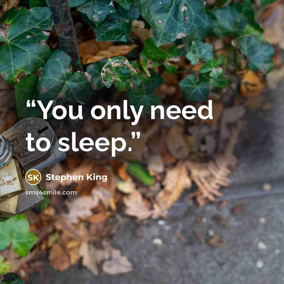 “You only need to sleep.” quote by Stephen King