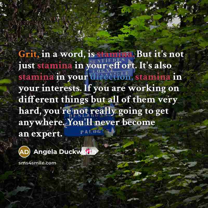“Grit, in a word, is stamina. But it's not just stamina in your effort. It's also stamina in your direction, stamina in your interests. If you are working on different things but all of them very hard, you're not really going to get anywhere. You'll never become an expert.” quote by Angela Duckworth