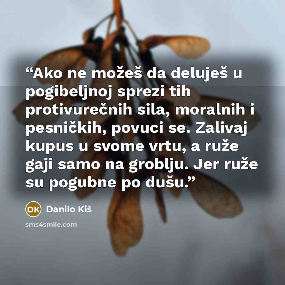 “Ako ne možeš da deluješ u pogibeljnoj sprezi tih protivurečnih sila, moralnih i pesničkih, povuci se. Zalivaj kupus u svome vrtu, a ruže gaji samo na groblju. Jer ruže su pogubne po dušu.” quote by Danilo Kiš