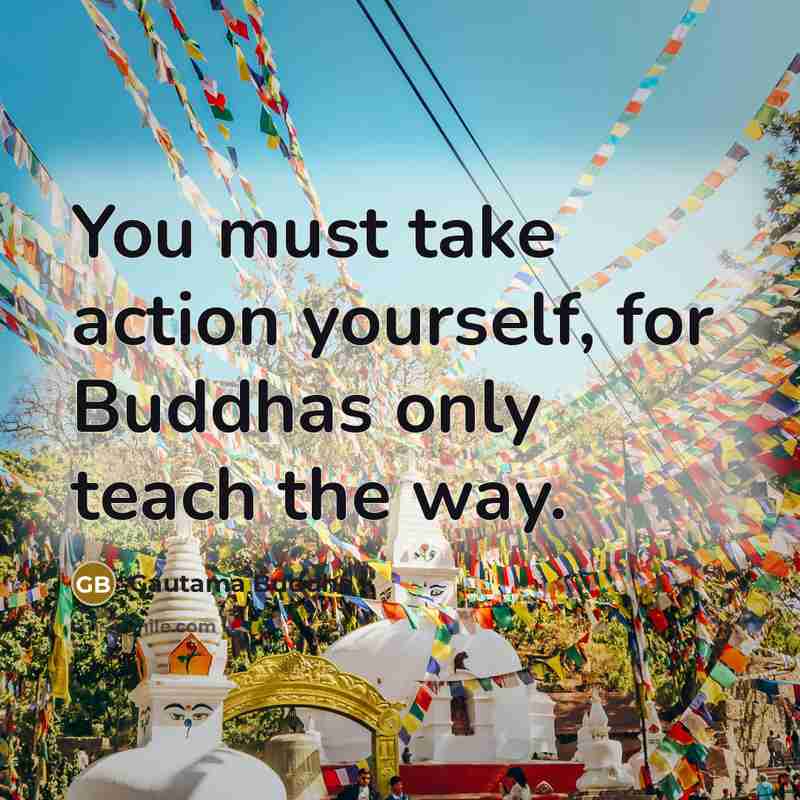 “You must take action yourself, for Buddhas only teach the way.” quote by Gautama Buddha