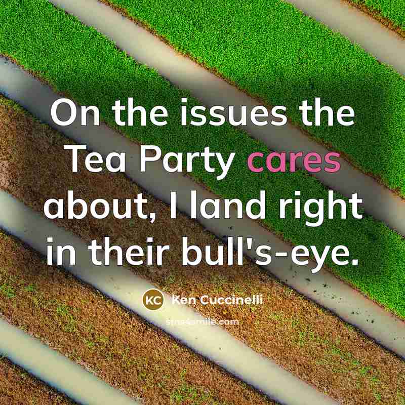 “On the issues the Tea Party cares about, I land right in their bull's-eye.” quote by Ken Cuccinelli