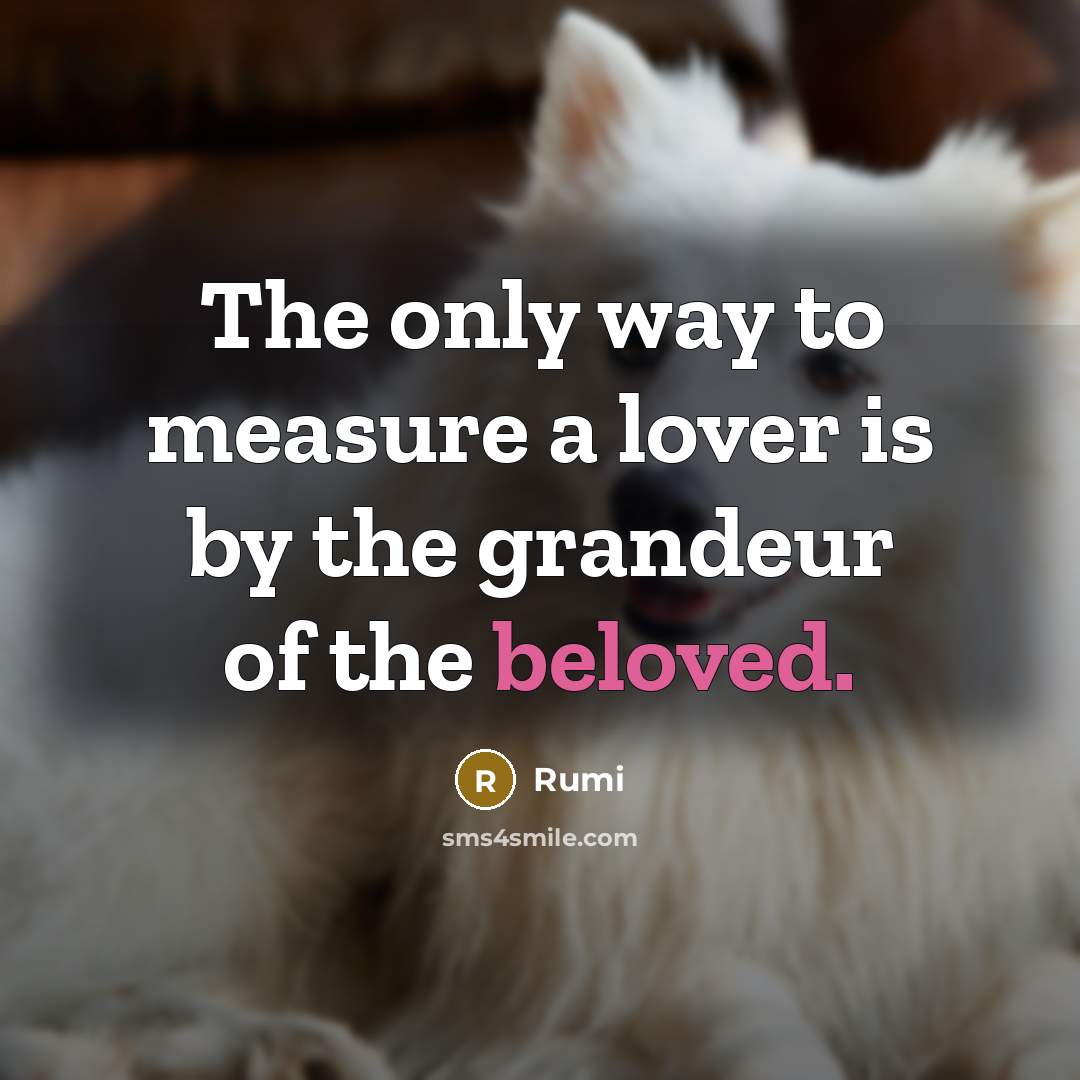 “The only way to measure a lover is by the grandeur of the beloved.” quote by Rumi