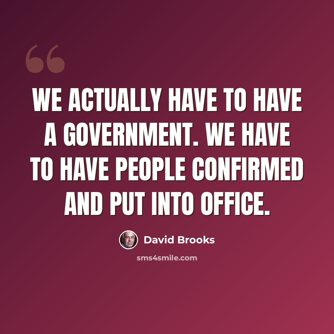 “We actually have to have a government. We have to have people confirmed and put into office.” quote by David Brooks