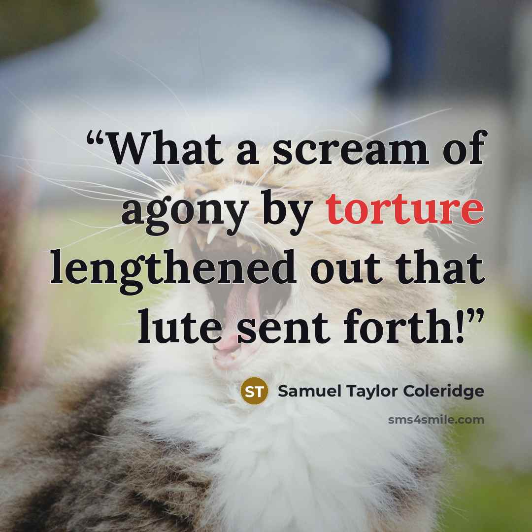 “What a scream of agony by torture lengthened out that lute sent forth!” quote by Samuel Taylor Coleridge