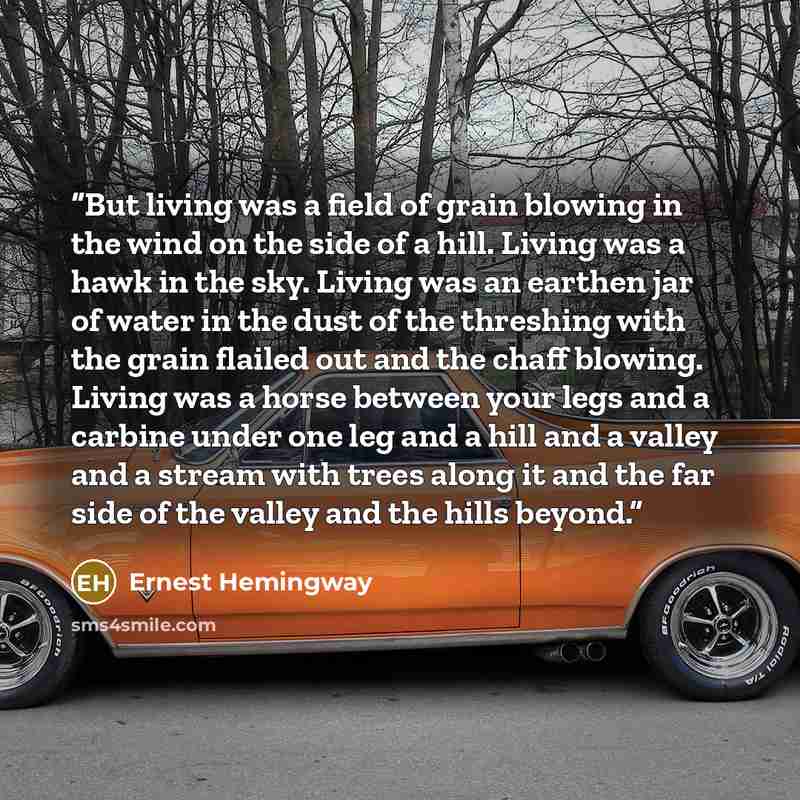 “But living was a field of grain blowing in the wind on the side of a hill. Living was a hawk in the sky. Living was an earthen jar of water in the dust of the threshing with the grain flailed out and the chaff blowing. Living was a horse between your legs and a carbine under one leg and a hill and…” quote by Ernest Hemingway
