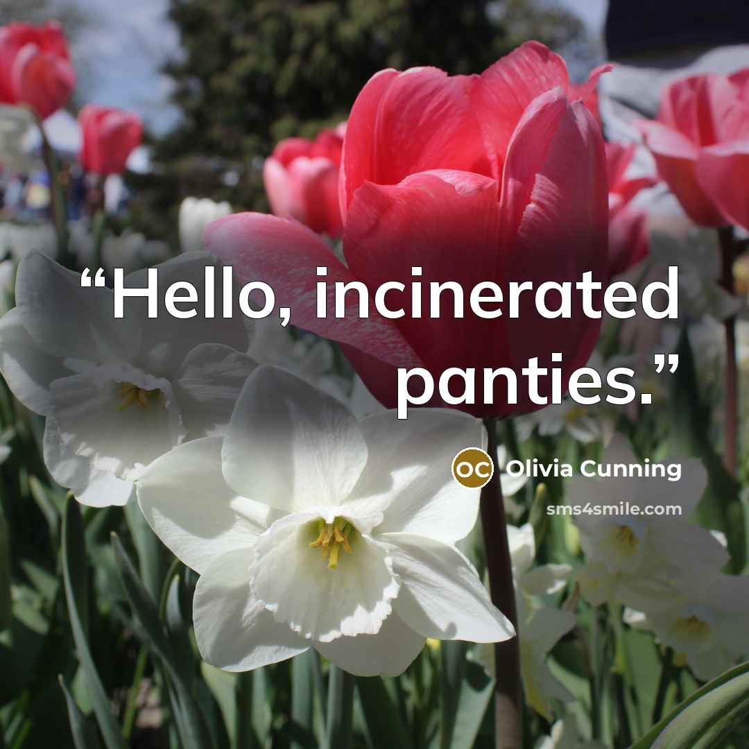 “Hello, incinerated panties.” quote by Olivia Cunning