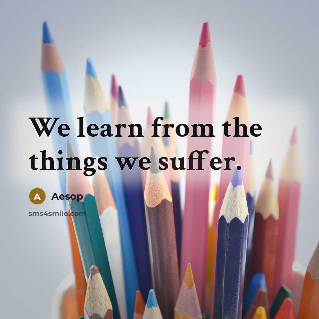 “We learn from the things we suffer.” quote by Aesop