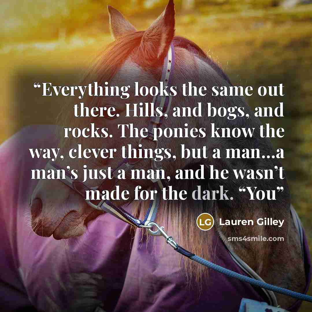 “Everything looks the same out there. Hills, and bogs, and rocks. The ponies know the way, clever things, but a man…a man’s just a man, and he wasn’t made for the dark. “You” quote by Lauren Gilley