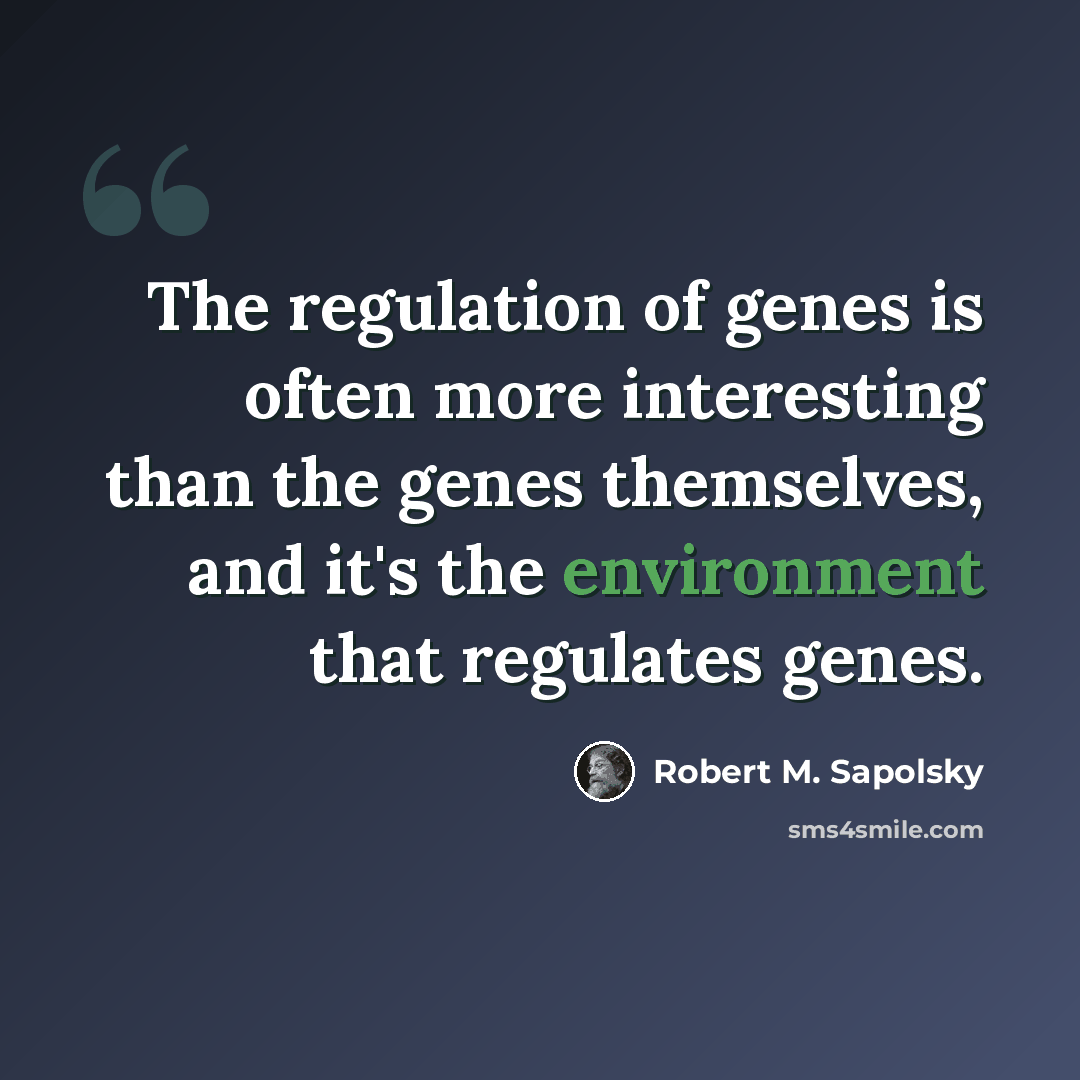 “The regulation of genes is often more interesting than the genes themselves, and it's the environment that regulates genes.” quote by Robert M. Sapolsky