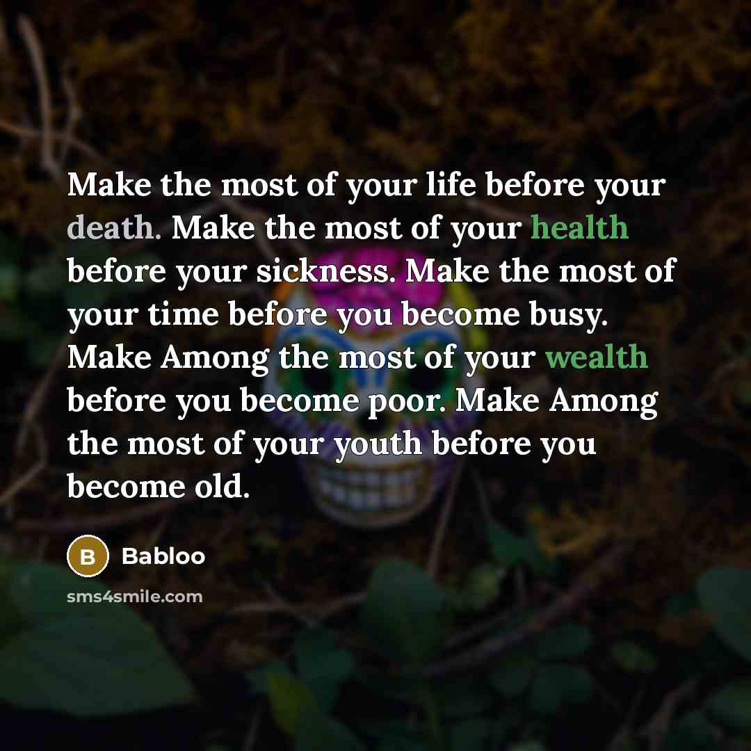“Make the most of your life before your death. Make the most of your health before your sickness. Make the most of your time before you become busy. Make Among the most of your wealth before you become poor. Make Among the most of your youth before you become old.” quote by Babloo