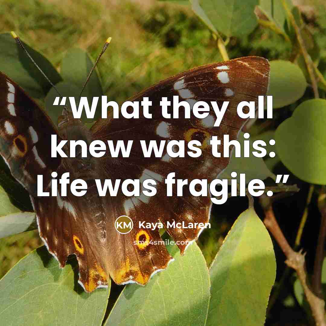 “What they all knew was this: Life was fragile.” quote by Kaya McLaren